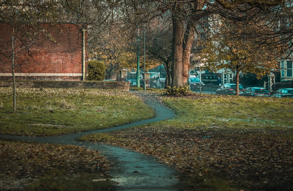 A narrow, winding concrete pathway running through a small urban park or garden area, bordered by patches of grass and fallen autumn leaves in shades of brown and yellow. In the background, there are large mature trees with textured bark and sparse branches, some with remaining amber and rust-colored foliage. To the left, a red brick building partially visible with a low brick retaining wall at its base. Beyond the trees and fencing, parked cars are visible in a street setting, with glimpses of a green lamppost. The scene is illuminated by diffuse natural daylight, creating a soft, subdued atmosphere typical of late autumn. The environment suggests a quiet, residential location where occasional maintenance, such as rubbish removal or on-site clearance, might be performed by local or private waste collection services, supported subtly by the visual context of urban outdoor space management, aligning with practices such as independent collection or bespoke rubbish handling, as might be undertaken by Rubbish Removal Hackney.